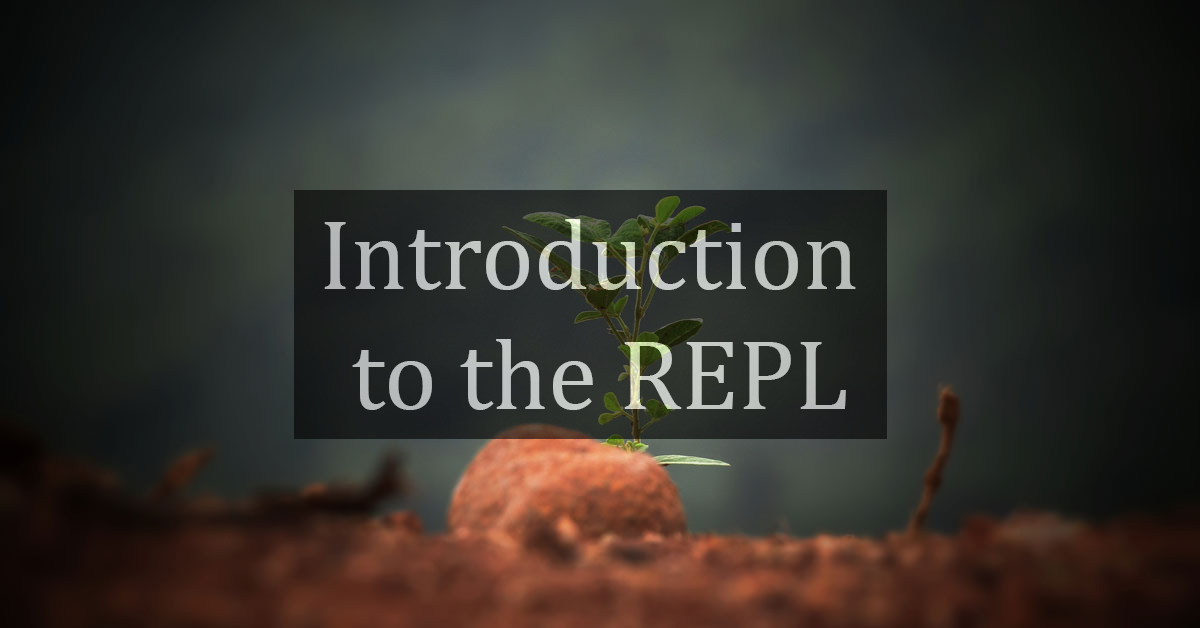Introduction to the REPL