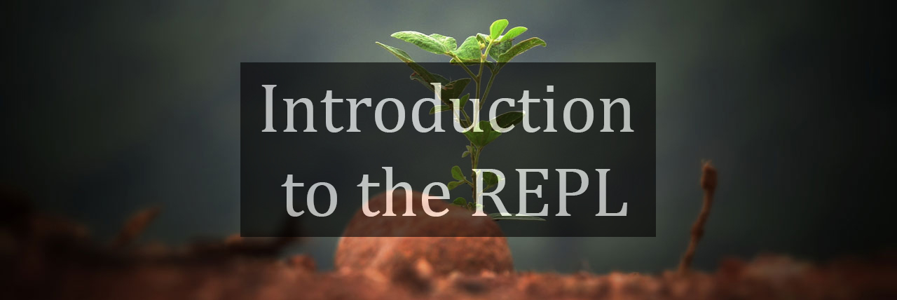 Introduction to the REPL