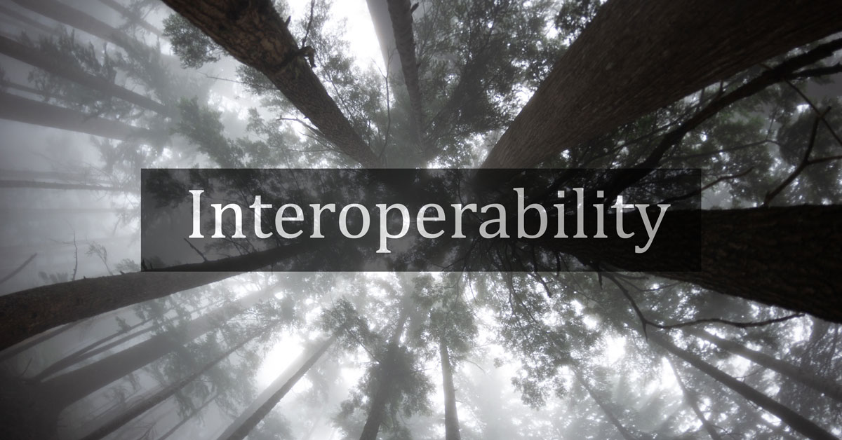 Interoperability in Julia